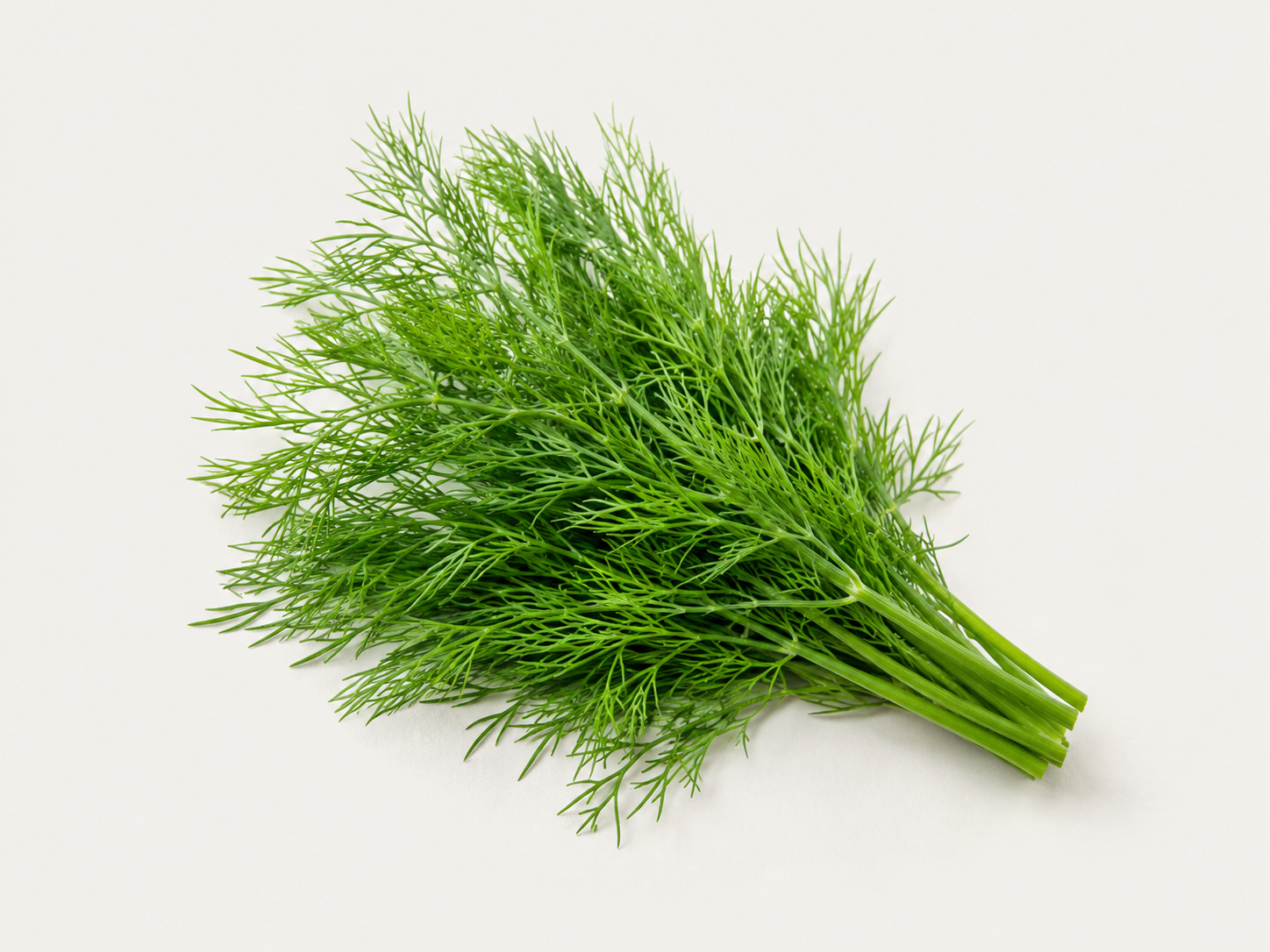 Kopr