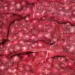 Cibule červená 5 Kg (CZ)